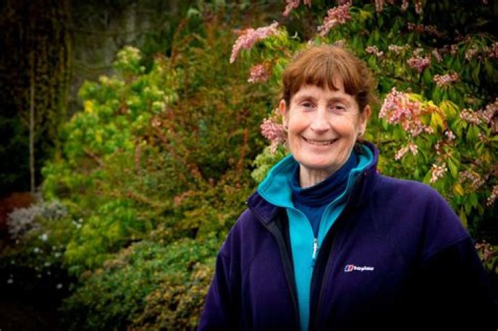 
Carole Baxter Age, Birthday, Wikipedia, Who, Nationality, Biography 