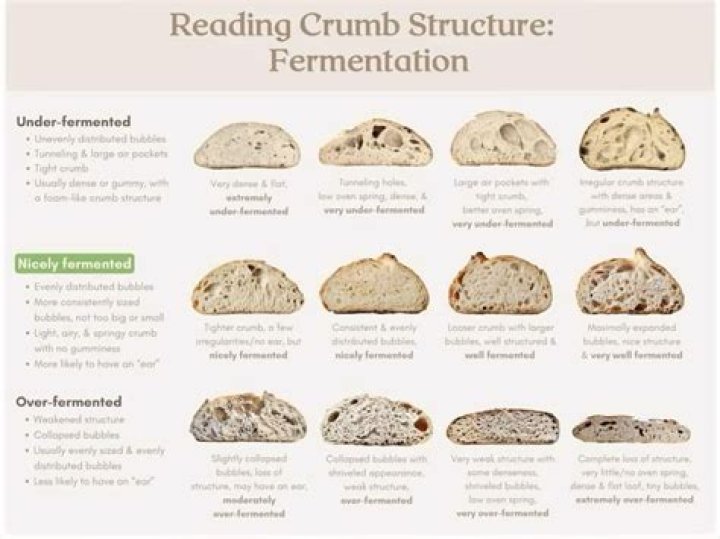 Crumb Twitch Height, Weight, Net Worth, Age, Birthday, Wikipedia, Who, Nationality, Biography