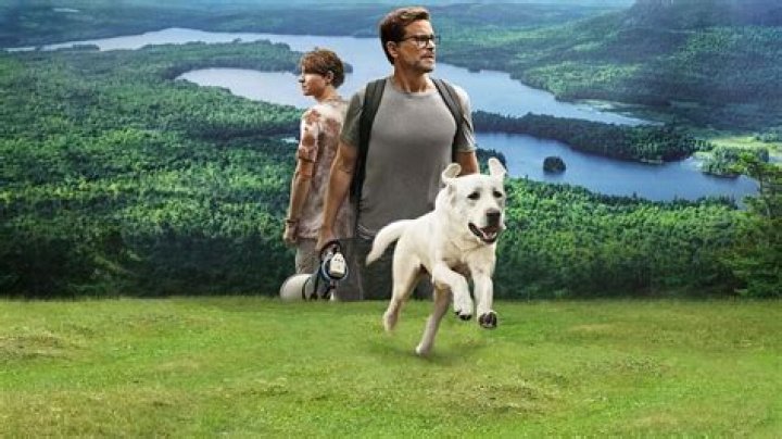 
Dog Gone review: A heartwarming story of a goofy lab 