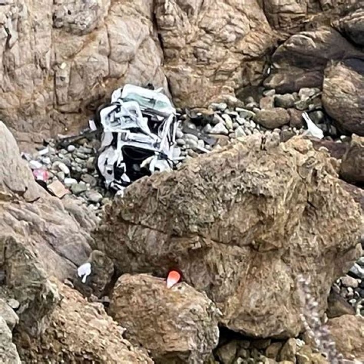 
Driver of Tesla That Went Over Calif. Cliff with His Family Inside Moved to Jail from Hospital 