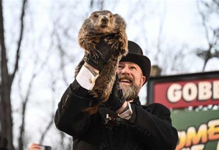 
Groundhog Day 2023: Punxsutawney Phil Claims There will be Six More Weeks of Winter 