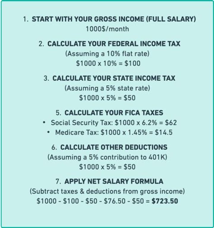 Veronika Rajek Paycheck And Salary & How It Compares To Brady