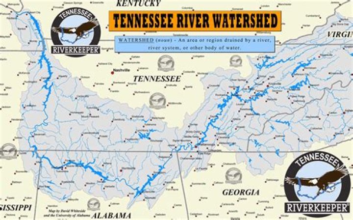 
What Happened To Belton Rivers? Tennessee Tech star Death And Twitter Tribute 