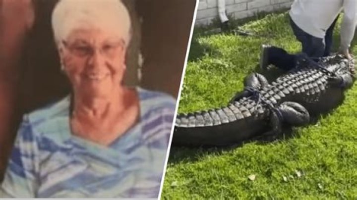 
Who was Gloria Serge? 85-year-old killed by alligator at retirement home in Florida 