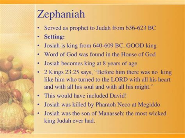 
Zephaniah McLeod Age, Birthday, Wikipedia, Who, Nationality, Biography 
